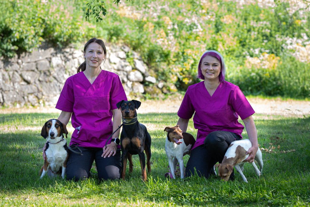 Eläinklinikan kuva 3