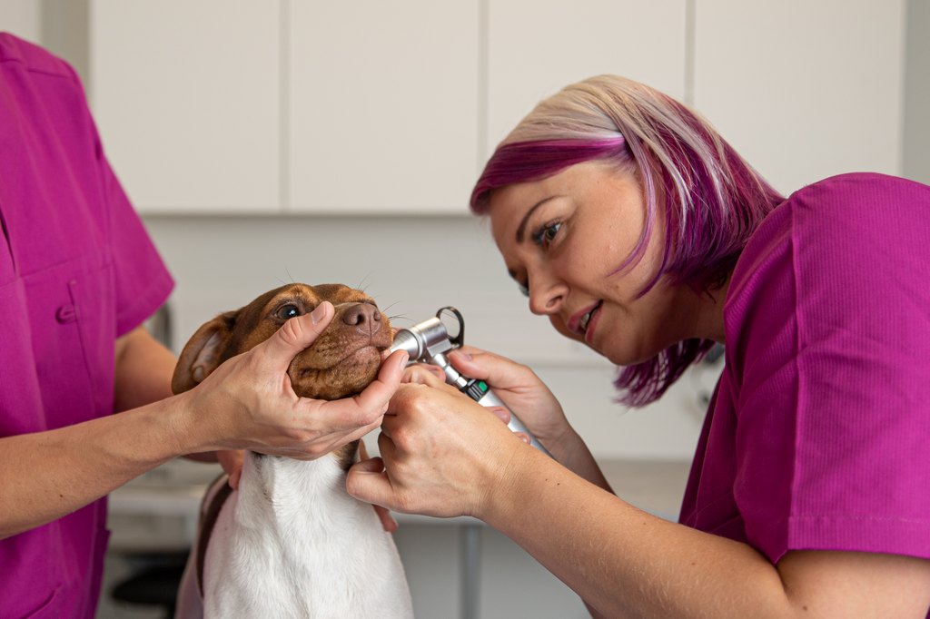 Eläinklinikan kuva 1